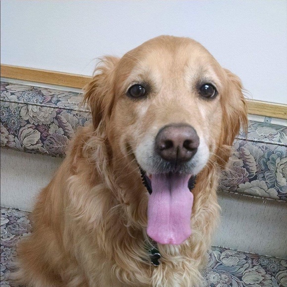 Meet your Posher, Chris - Picture 2 of 2